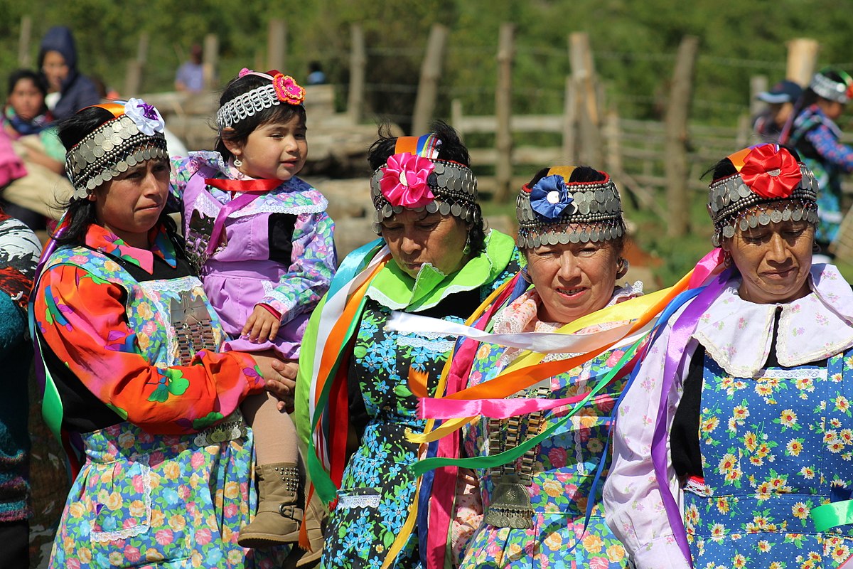 Mapuche, un pueblo indígena ejemplo de lucha y amor por la tierra