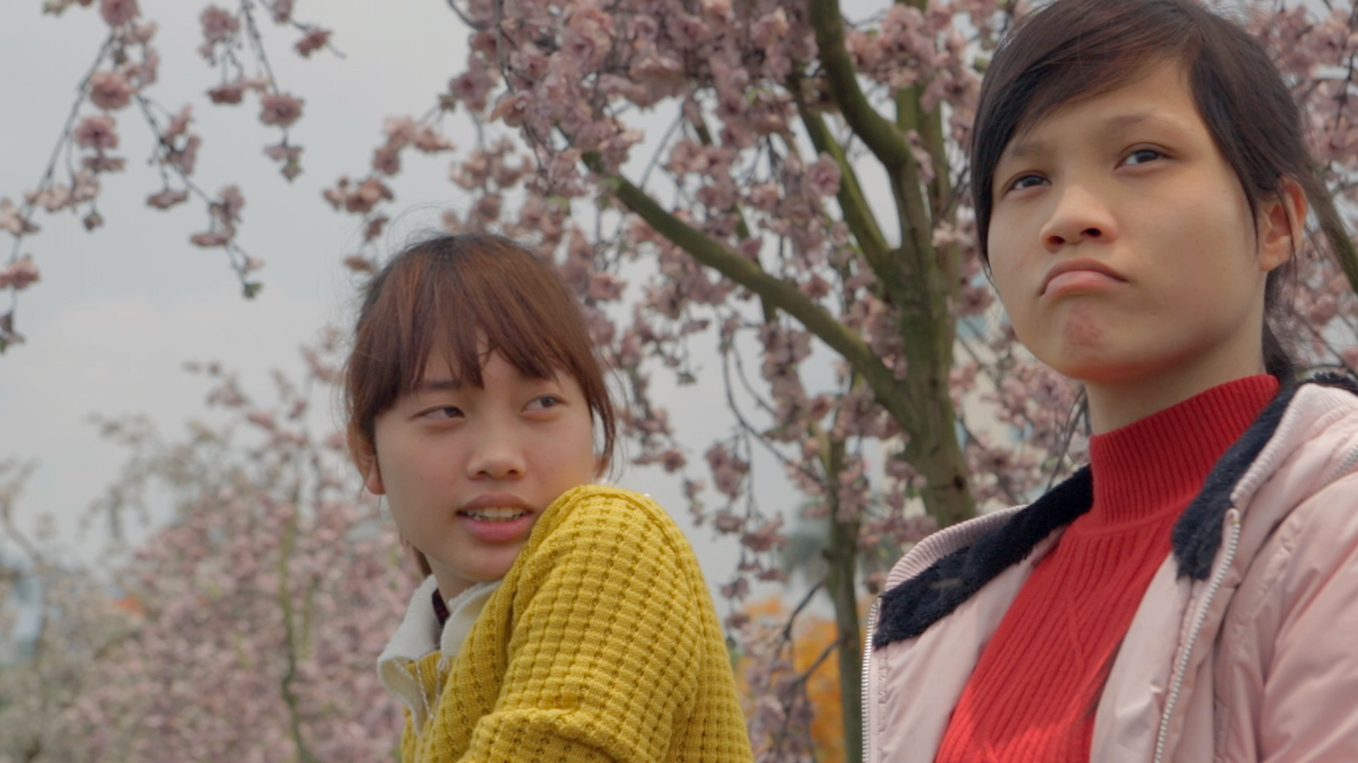 Recensioni indipendenti Nimble Fingers documentario L'INDIPENDENTE