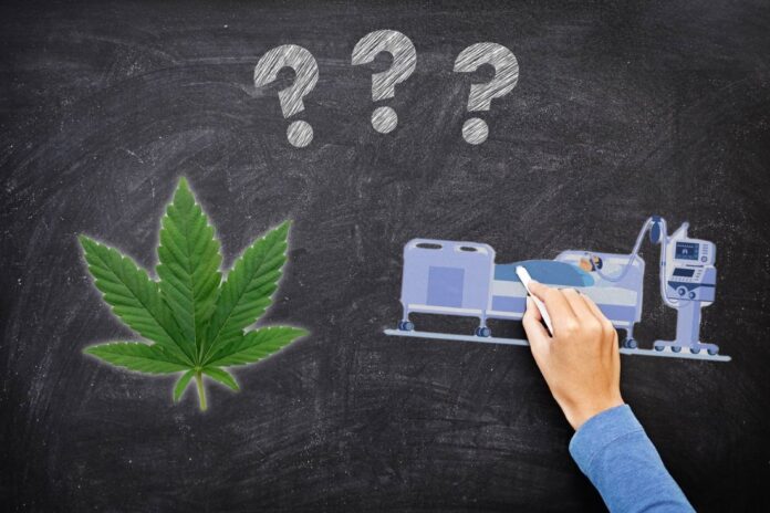 referendum cannabis eutanasia