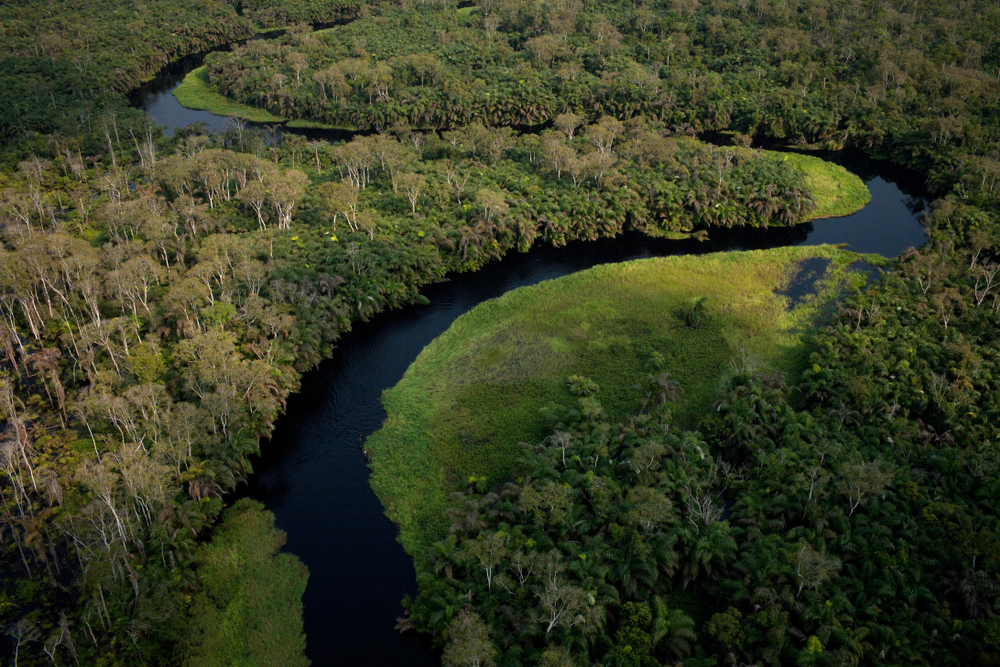 Nel Bacino del Congo verrà istituita la più grande riserva di foresta tropicale al mondo