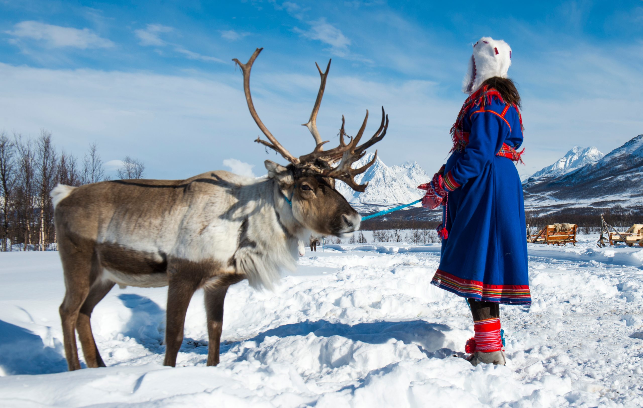 Саамы. Саамы коренные жители Кольского полуострова. Кольские саамы оленеводство Ловозеро. Саамы Кольского полуострова. Саами Кольский полуостров.