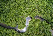 La Colombia vieta tutti i nuovi progetti estrattivi nella sua Amazzonia