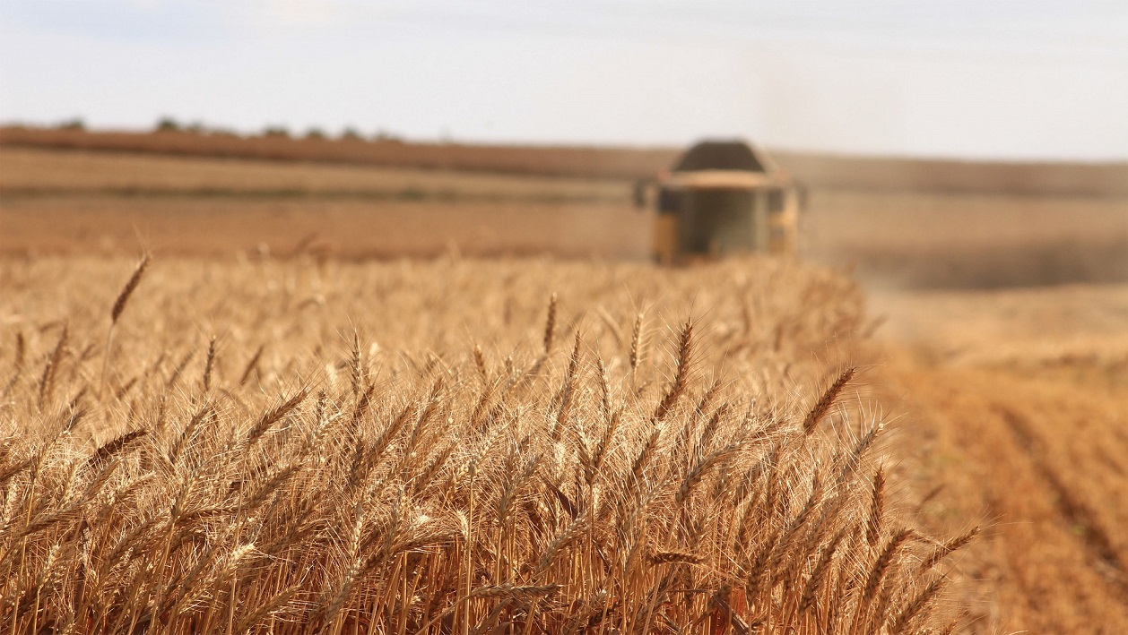 22 paesi nella lista e 330 milioni per i sostegni UE agli agricoltori