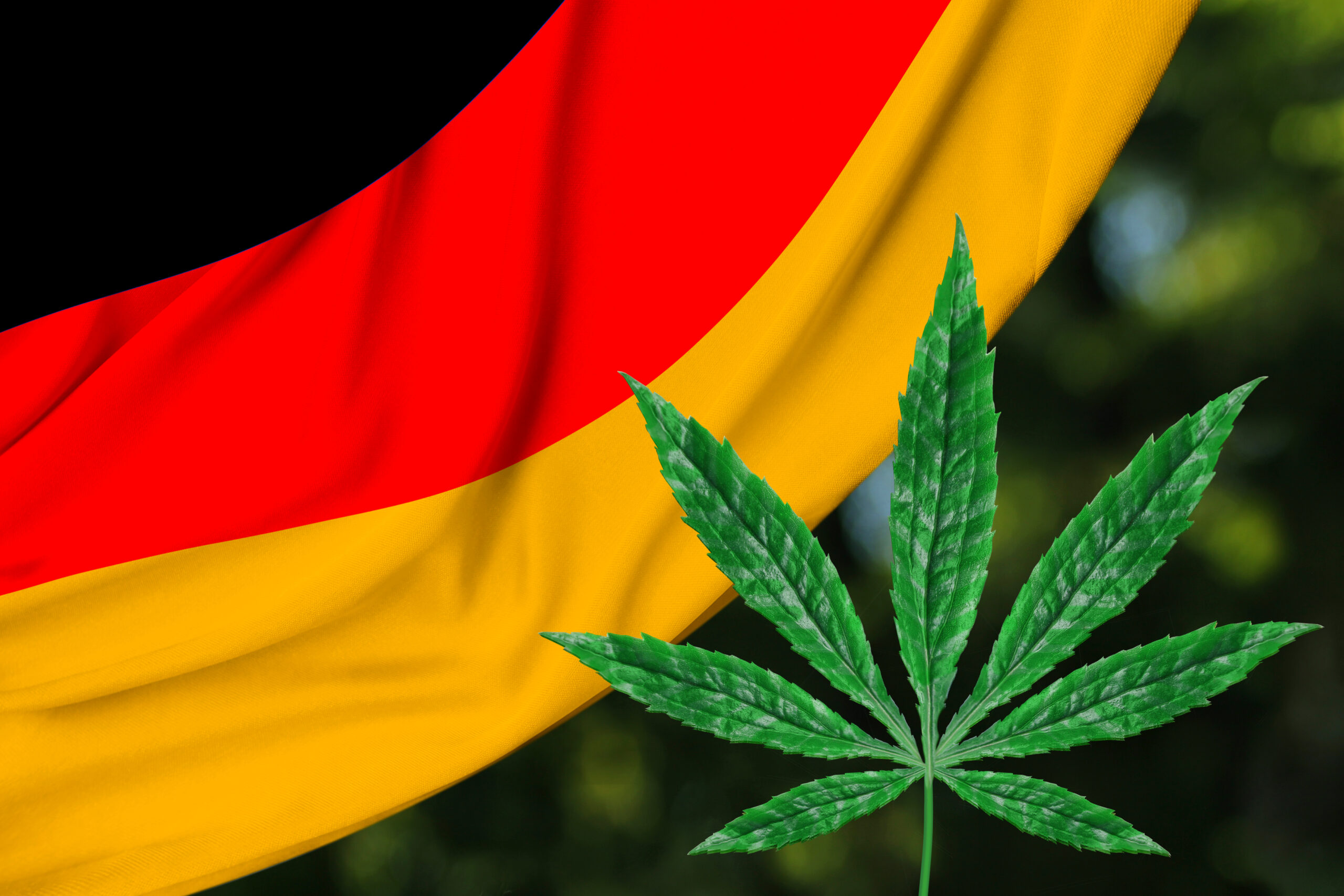 La Germania ha approvato la legalizzazione della cannabis è la prima