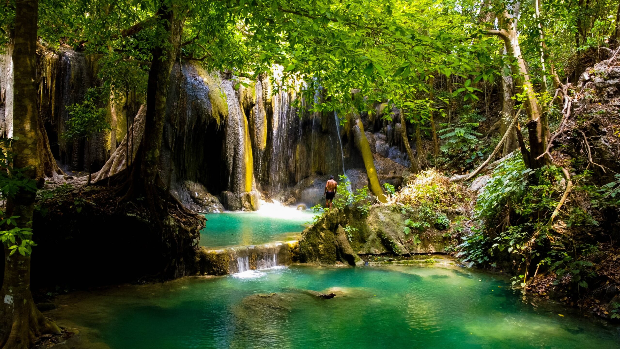 I primi esseri umani prosperavano nelle foreste pluviali