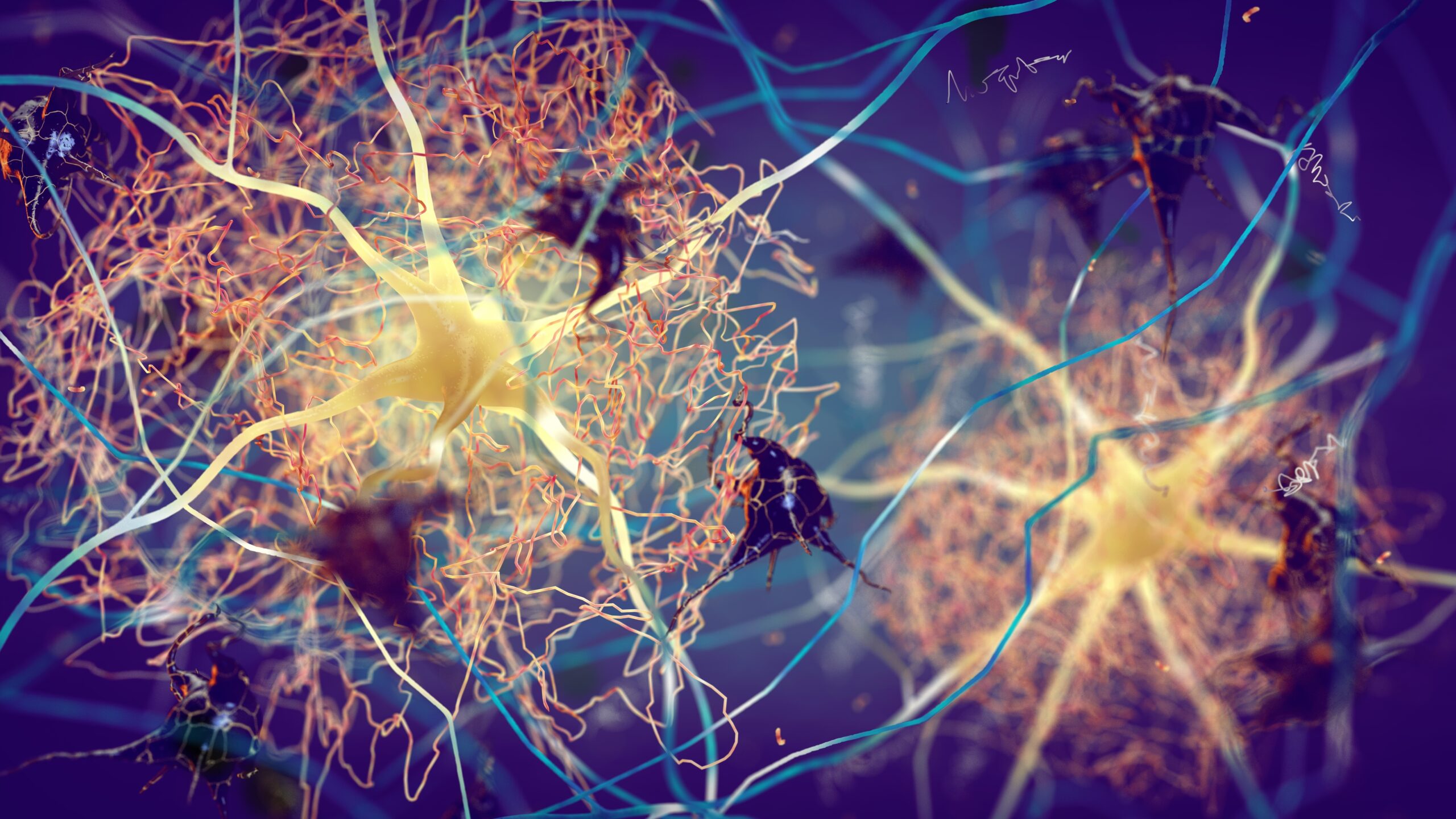 Una nuova proteina sintetica potrebbe aiutare la cura delle malattie neurodegenerative