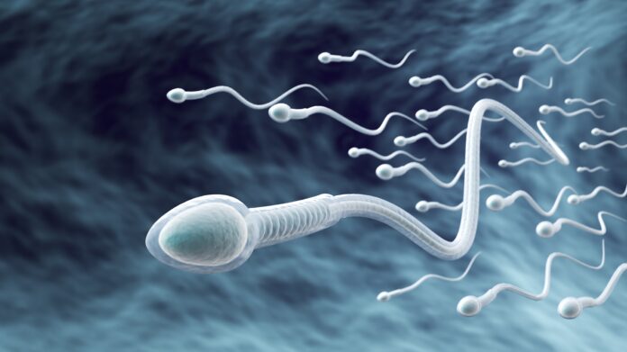 Sperm,Directed,Towards,The,Egg,Bubble,,Natural,Fertilization.3d,Illustration