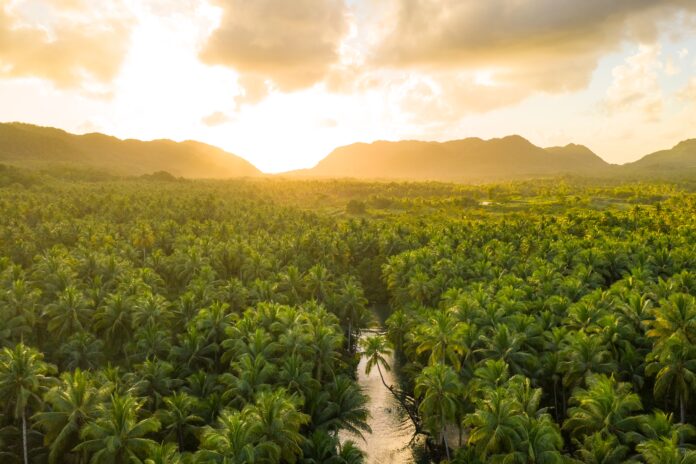 View,Over,Sunset,Over,Amazon,River,With,Rainforest,In,Brazil.