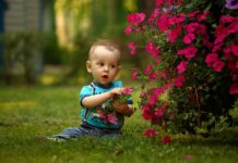 Più natura nei cortili, più salute nei bambini: il modello degli asili verdi finlandesi bambini a contatto con la terra