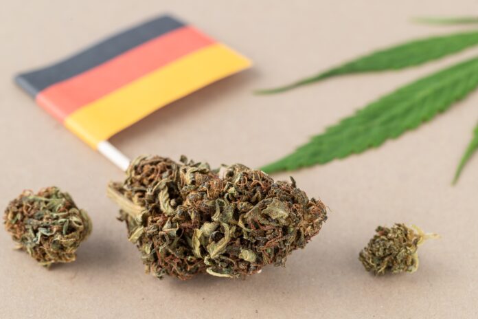 Germania cannabis riforma dati Germania cannabis riforma dati