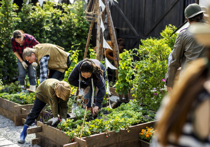 green communities comuni