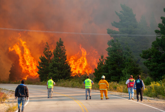 Patagonia incendio