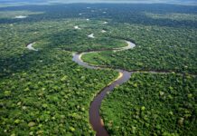 Amazzonia, le proteste indigene fermano il corridoio della soia sul fiume Tapajós Tapajós, Brasile, fiume, Amazzonia