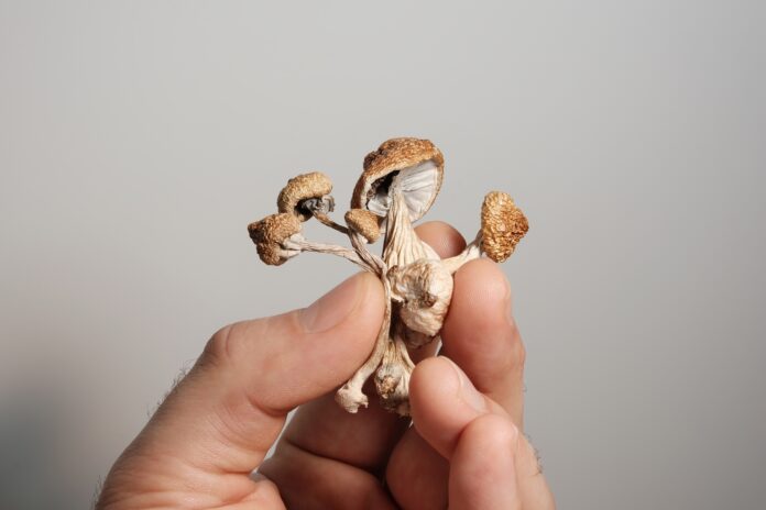 psilocibina paziente Italia depressione