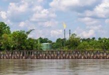 Papua Nuova Guinea: la mobilitazione convince le banche a non finanziare i progetti estrattivi